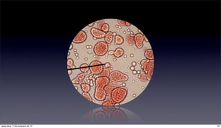 sexta-feira, 15 de fevereiro de 13   25
 