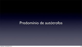 Predomínio de autótrofos




sexta-feira, 15 de fevereiro de 13                              29
 