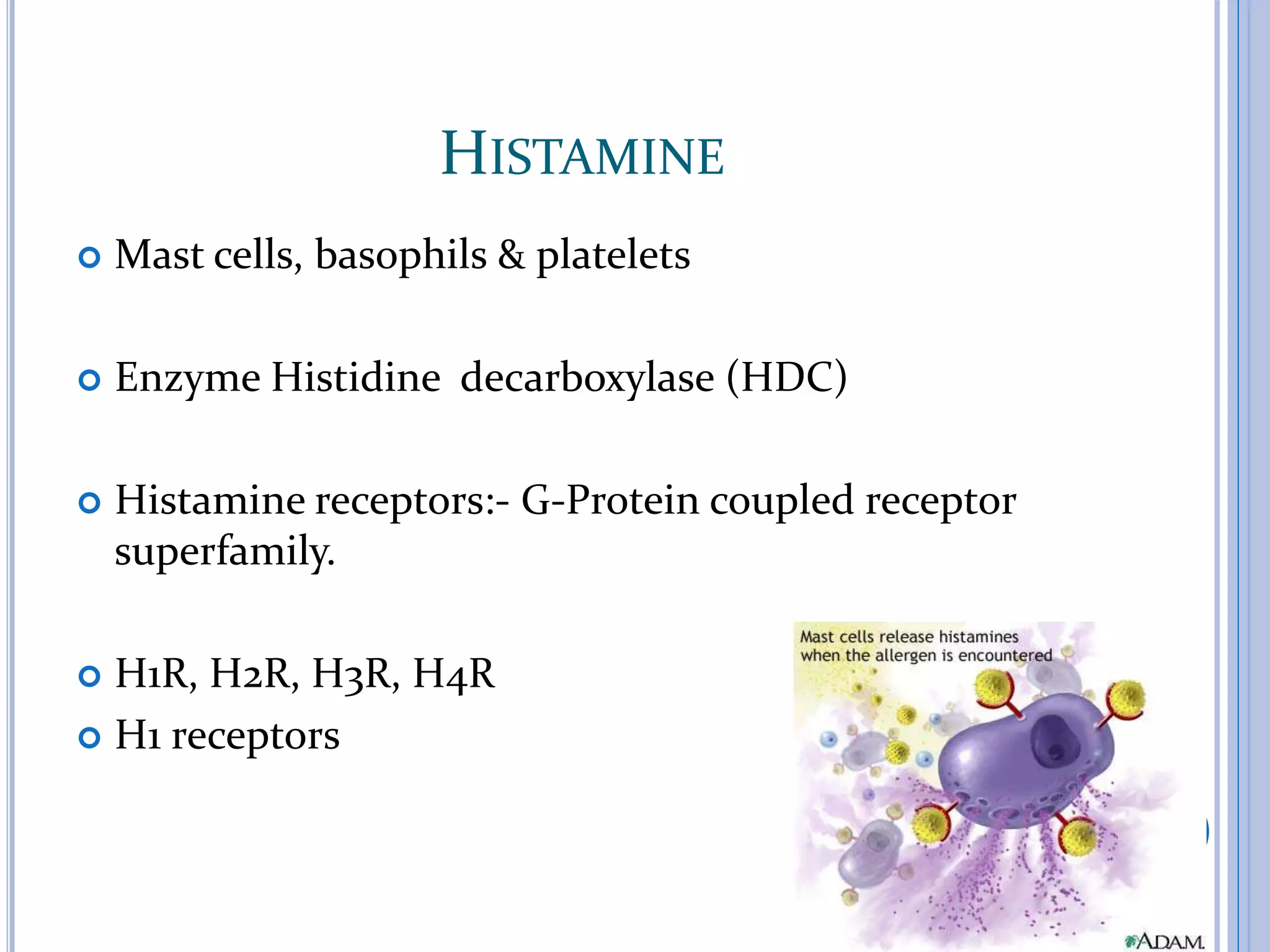 HISTAMINE
 Mast cells, basophils & platelets
 Enzyme Histidine decarboxylase (HDC)
 Histamine receptors:- G-Protein coupled receptor
superfamily.
 H1R, H2R, H3R, H4R
 H1 receptors
10
 