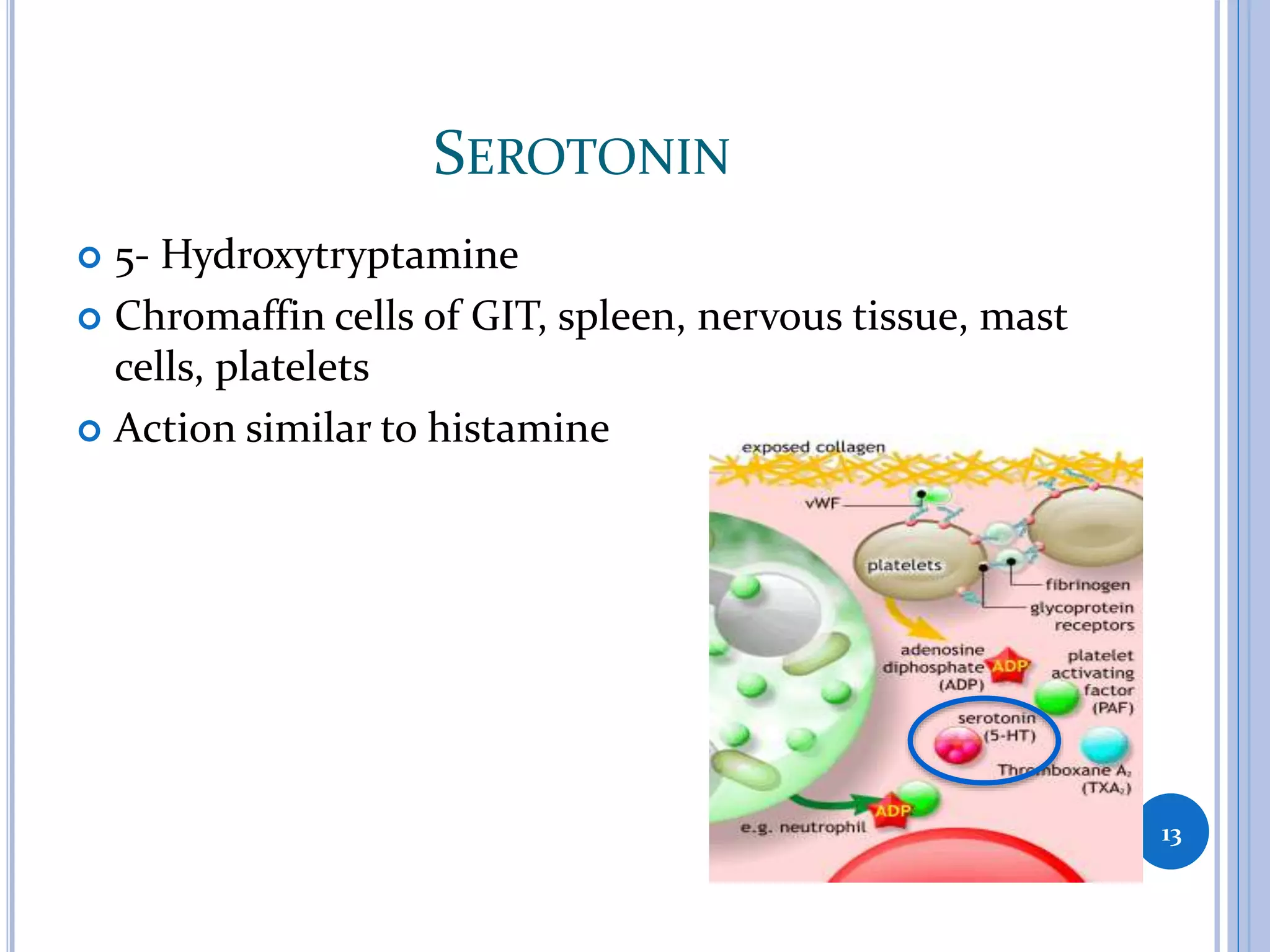 SEROTONIN
 5- Hydroxytryptamine
 Chromaffin cells of GIT, spleen, nervous tissue, mast
cells, platelets
 Action similar to histamine
13
 