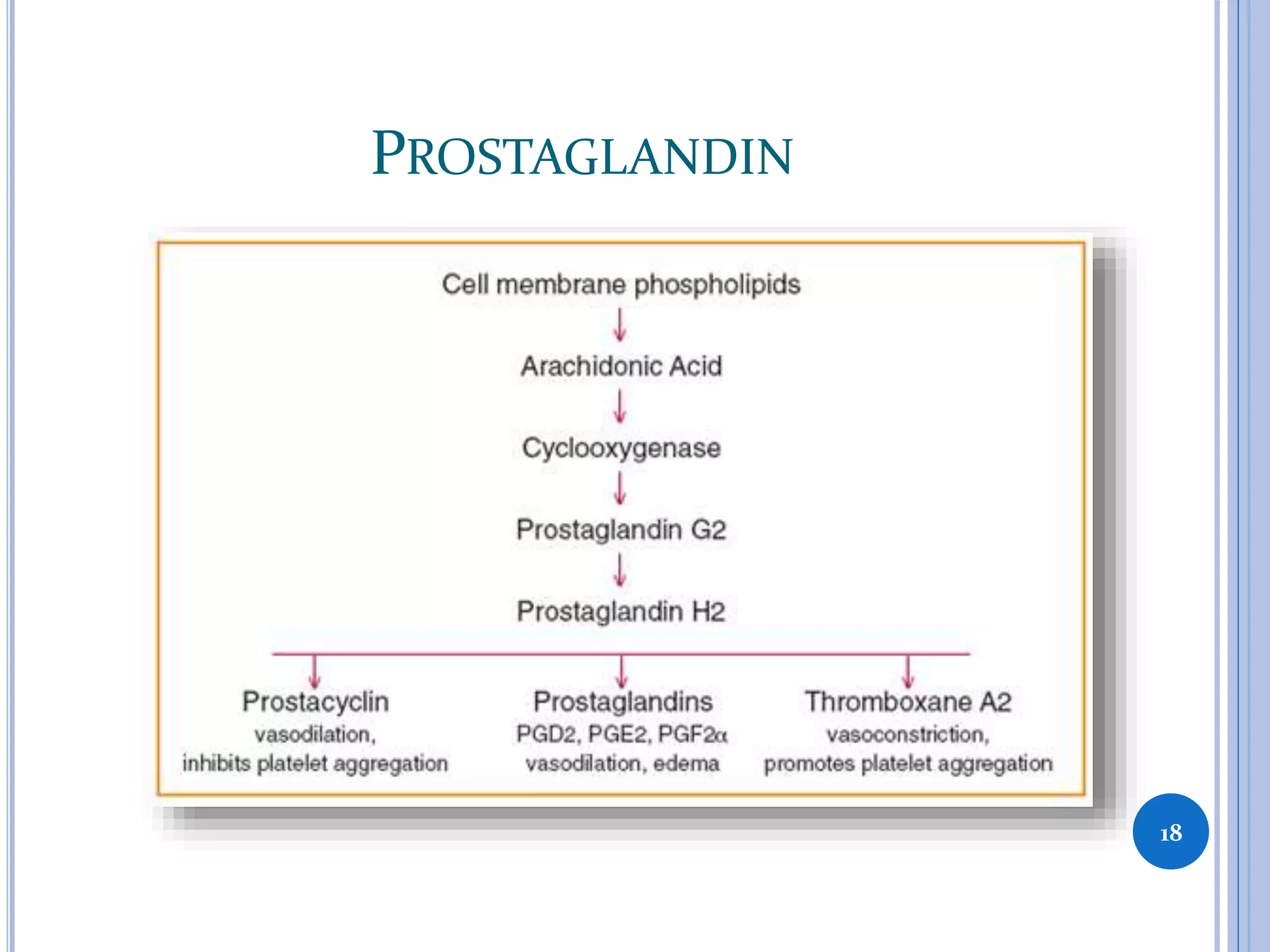 PROSTAGLANDIN
18
 