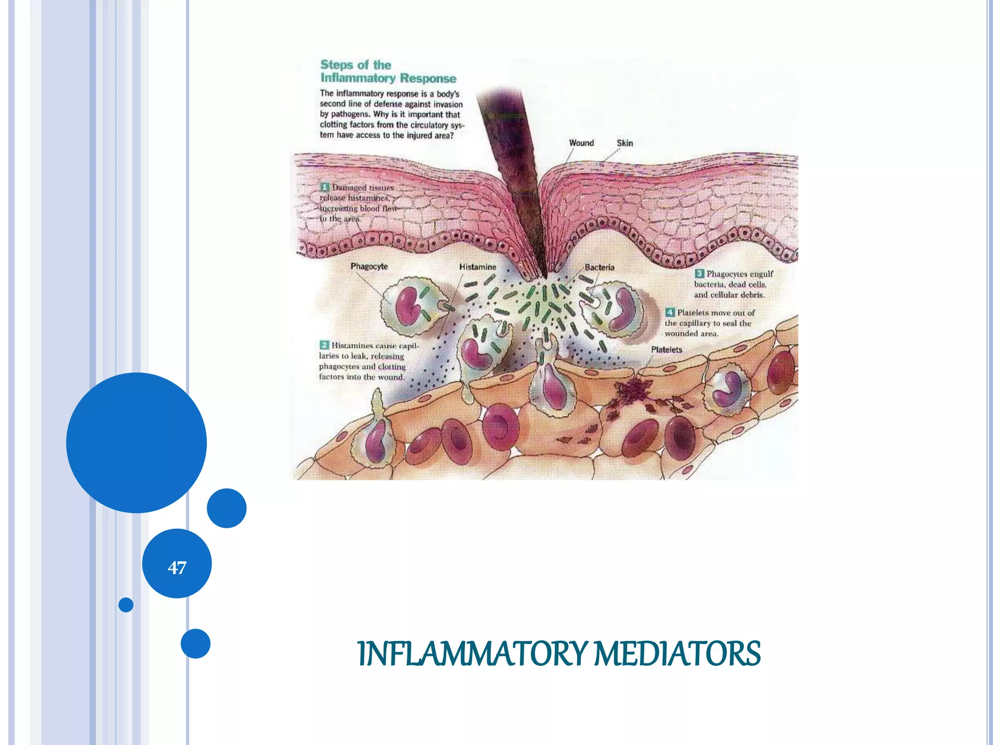 INFLAMMATORYMEDIATORS
47
 