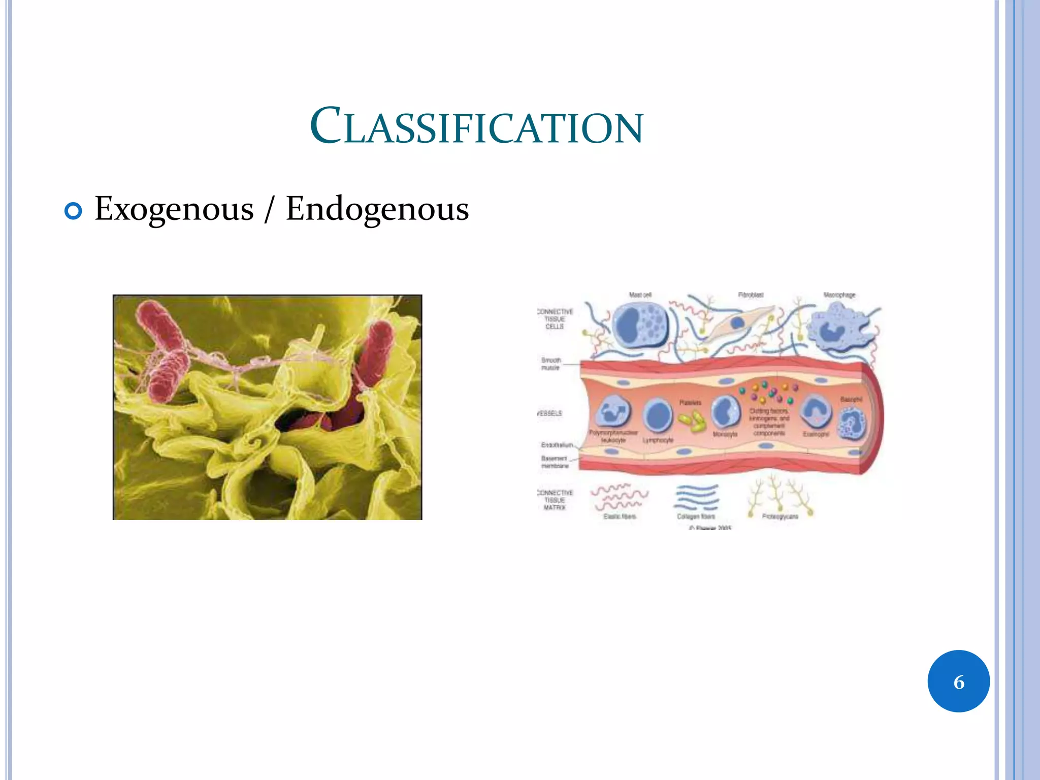 CLASSIFICATION
 Exogenous / Endogenous
6
 