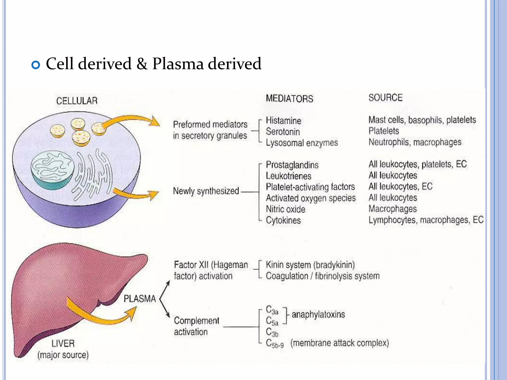  Cell derived & Plasma derived
7
 