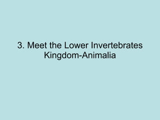 3. Meet the Lower Invertebrates Kingdom-Animalia 