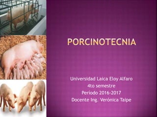 Universidad Laica Eloy Alfaro
4to semestre
Período 2016-2017
Docente Ing. Verónica Taipe
 