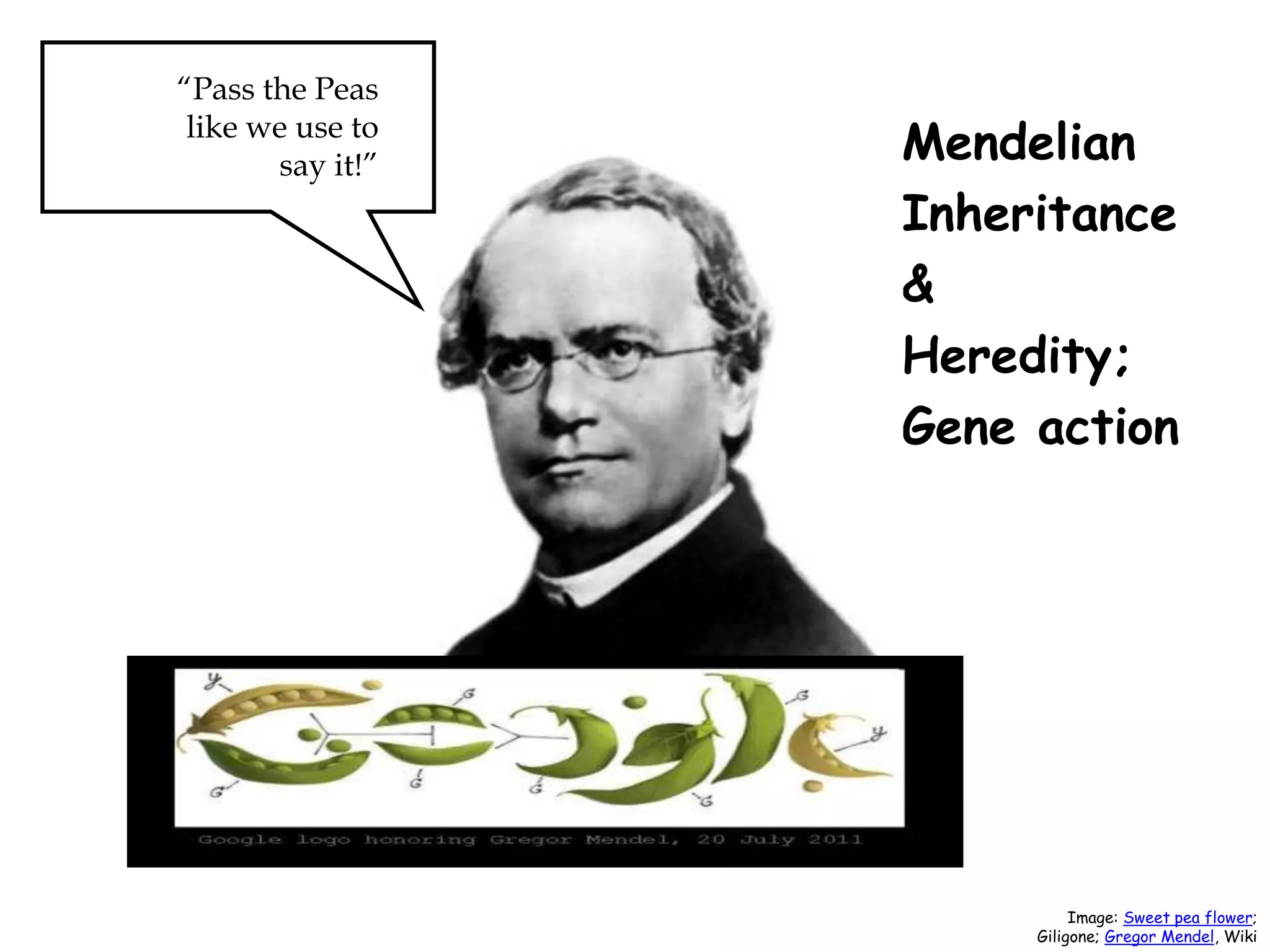 Mendelian
Inheritance
&
Heredity;
Gene action
“Pass the Peas
like we use to
say it!”
Image: Sweet pea flower;
Giligone; Gregor Mendel, Wiki
 