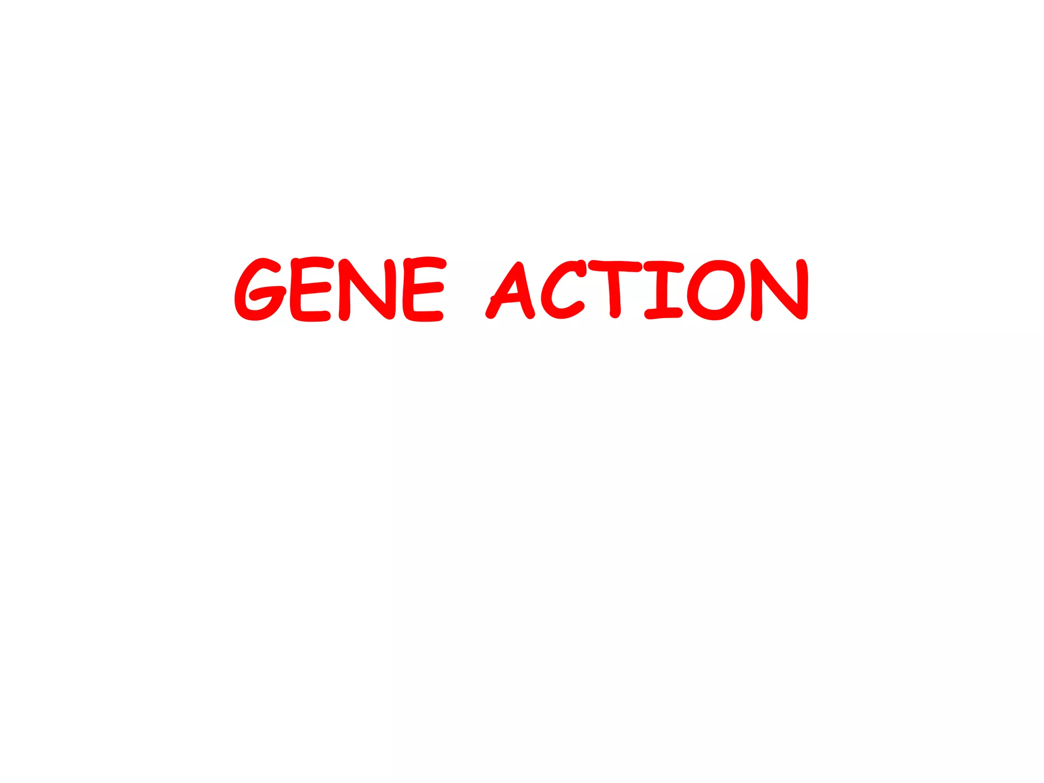 GENE ACTION
 