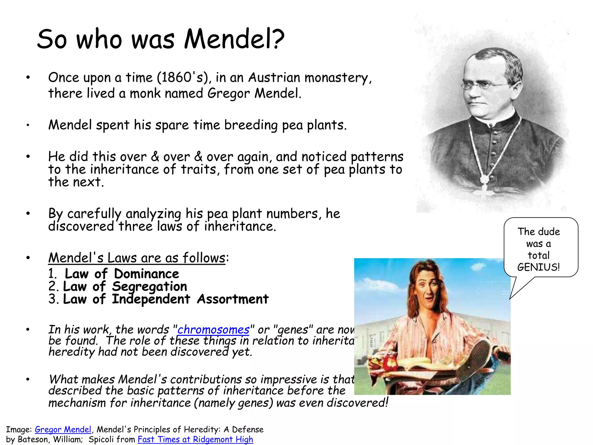 So who was Mendel?
• Once upon a time (1860's), in an Austrian monastery,
there lived a monk named Gregor Mendel.
• Mendel spent his spare time breeding pea plants.
• He did this over & over & over again, and noticed patterns
to the inheritance of traits, from one set of pea plants to
the next.
• By carefully analyzing his pea plant numbers, he
discovered three laws of inheritance.
• Mendel's Laws are as follows:
1. Law of Dominance
2. Law of Segregation
3. Law of Independent Assortment
• In his work, the words "chromosomes" or "genes" are nowhere to
be found. The role of these things in relation to inheritance &
heredity had not been discovered yet.
• What makes Mendel's contributions so impressive is that he
described the basic patterns of inheritance before the
mechanism for inheritance (namely genes) was even discovered!
The dude
was a
total
GENIUS!
Image: Gregor Mendel, Mendel's Principles of Heredity: A Defense
by Bateson, William; Spicoli from Fast Times at Ridgemont High
 