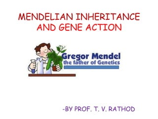 MENDELIAN INHERITANCE
AND GENE ACTION
-BY PROF. T. V. RATHOD
 