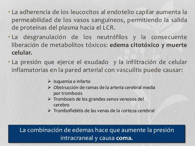 A que médico dirigirse a las venas en los pies