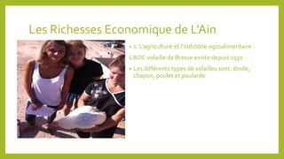 Les Richesses Economique de L’Ain 
• 1. L’agriculture et l’industrie agroalimentaire : 
L’AOC volaille de Bresse existe depuis 1591 
• Les différents types de volailles sont: dinde, 
chapon, poulet et poularde 
 