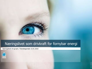 Næringslivet som drivkraft for fornybar energi Næringslivet vil og kan!, Trøndelagsmøte 15.01.2010 