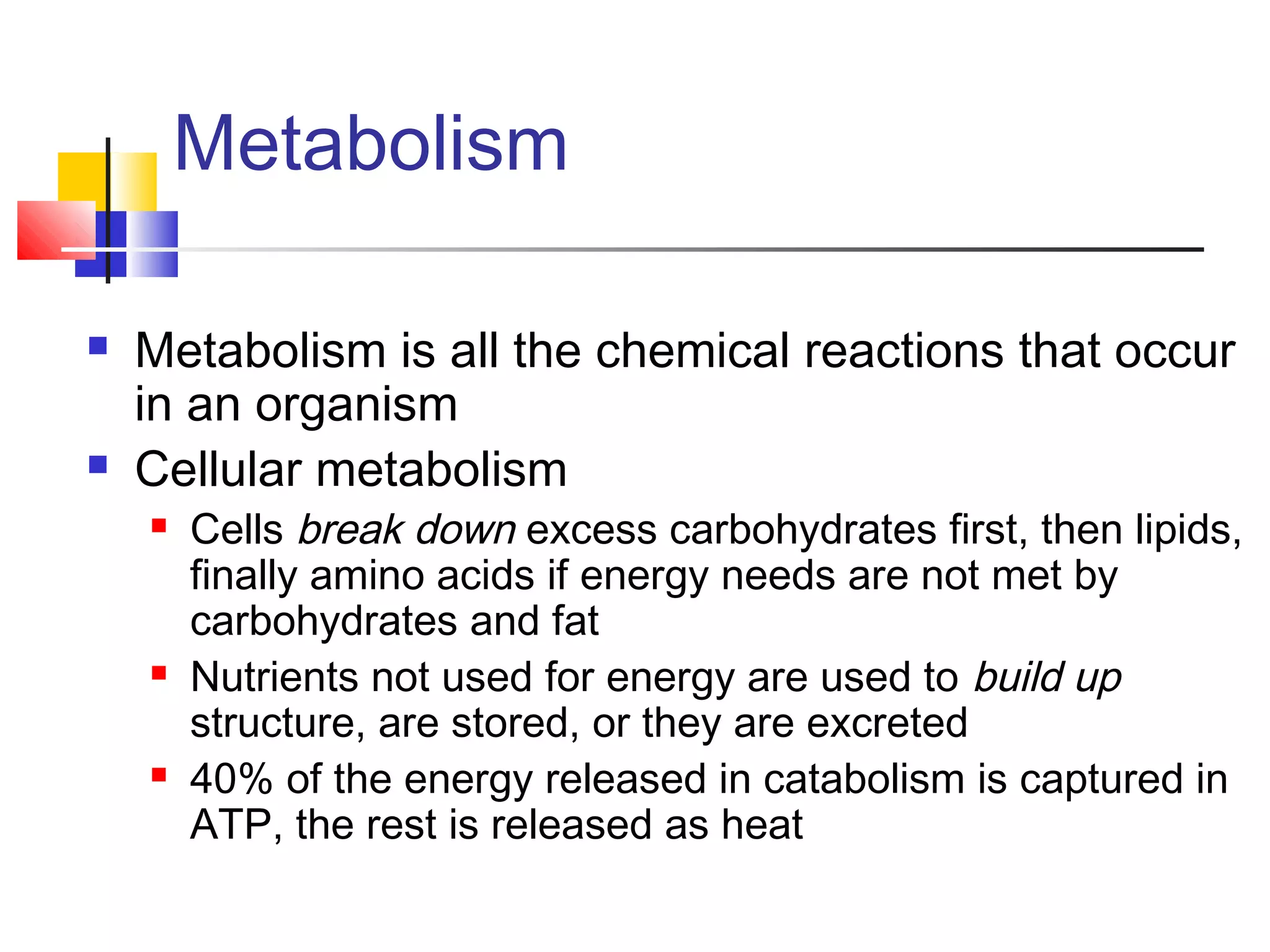 Metabolism of Carbohydrates | PPT