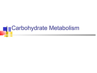 Carbohydrate Metabolism
 