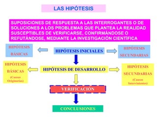 LAS HIPÓTESIS
SUPOSICIONES DE RESPUESTA A LAS INTERROGANTES O DE
SOLUCIONES A LOS PROBLEMAS QUE PLANTEA LA REALIDAD
SUSCEPTIBLES DE VERIFICARSE, CONFIRMÁNDOSE O
REFUTÁNDOSE, MEDIANTE LA INVESTIGACIÓN CIENTÍFICA
HIPÓTESIS INICIALES
HIPÓTESIS DE DESARROLLO
VERIFICACIÓN
CONCLUSIONES
HIPÓTESIS
BÁSICAS
(Causas
Originarias)
HIPÓTESIS
SECUNDARIAS
(Causas
Intervinientes)
HIPÓTESIS
BÁSICAS
HIPÓTESIS
SECUNDARIAS
 