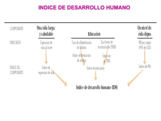 INDICE DE DESARROLLO HUMANO
 