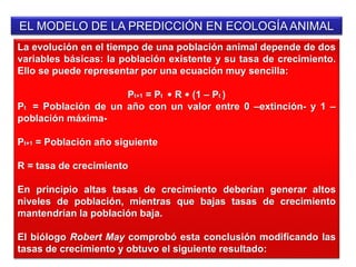 EL MODELO DE LA PREDICCIÓN EN ECOLOGÍA ANIMAL
La evolución en el tiempo de una población animal depende de dos
variables básicas: la población existente y su tasa de crecimiento.
Ello se puede representar por una ecuación muy sencilla:
Pt+1 = Pt  R  (1 – Pt )
Pt = Población de un año con un valor entre 0 –extinción- y 1 –
población máxima-
Pt+1 = Población año siguiente
R = tasa de crecimiento
En principio altas tasas de crecimiento deberían generar altos
niveles de población, mientras que bajas tasas de crecimiento
mantendrían la población baja.
El biólogo Robert May comprobó esta conclusión modificando las
tasas de crecimiento y obtuvo el siguiente resultado:
 