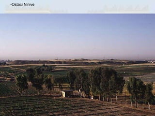 -Ostaci Ninive 