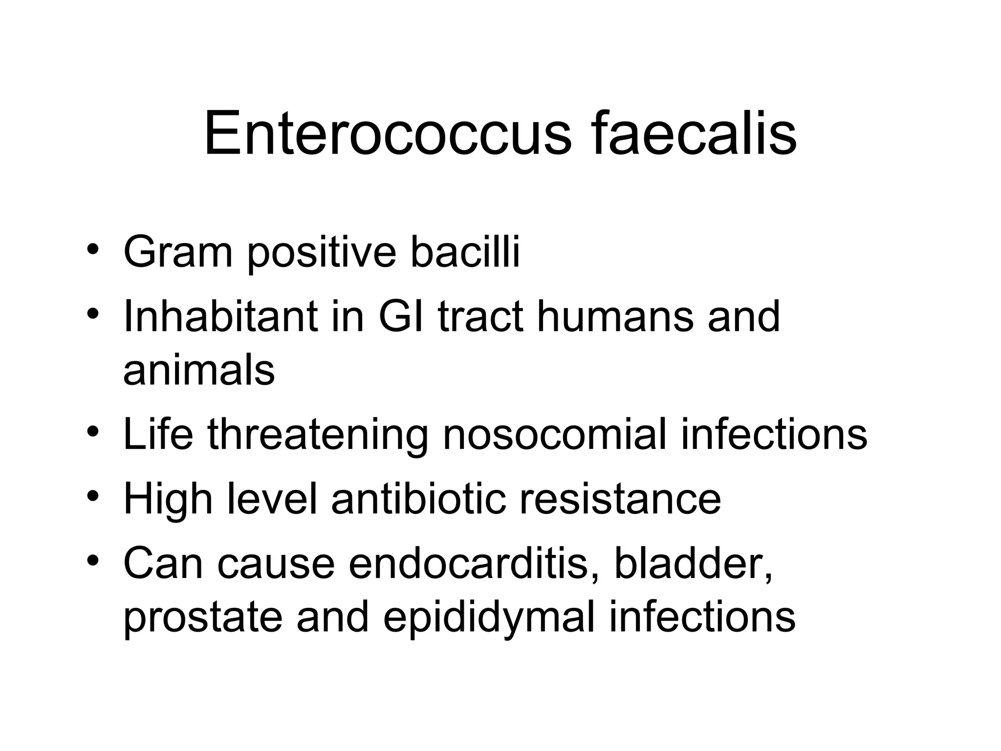 Enterococcus faecalis Gram positive bacilli Inhabitant in GI tract humans and animals Life threatening nosocomial infections High level antibiotic resistance Can cause endocarditis, bladder, prostate and epididymal infections 