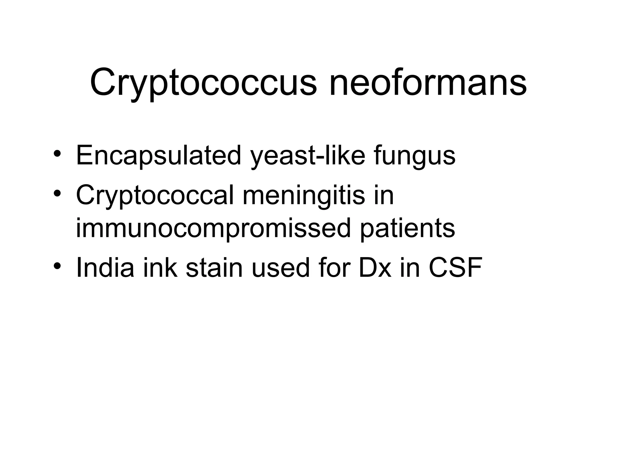 Cryptococcus neoformans Encapsulated yeast-like fungus Cryptococcal meningitis in immunocompromissed patients India ink stain used for Dx in CSF 