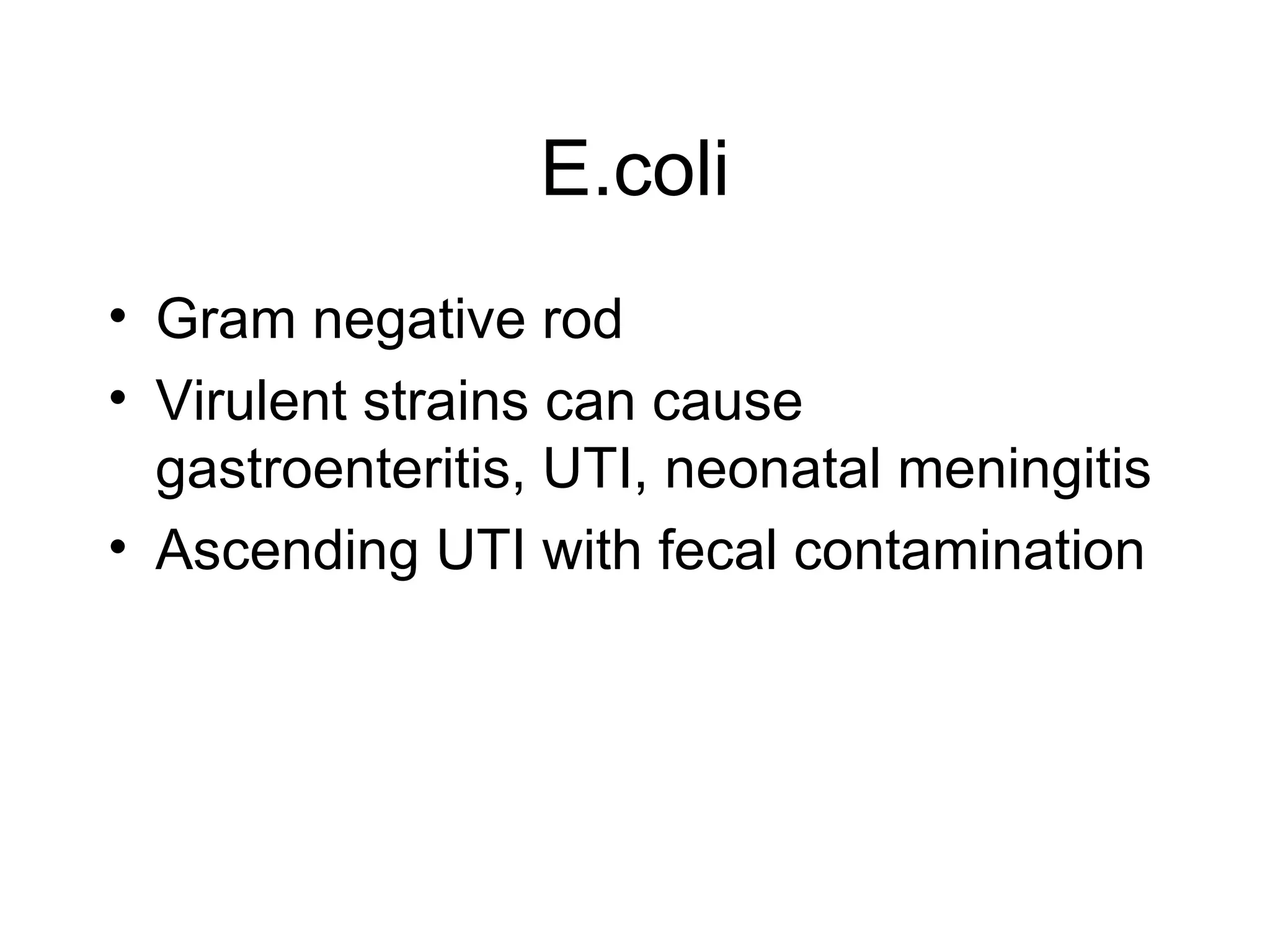 E.coli Gram negative rod Virulent strains can cause gastroenteritis, UTI, neonatal meningitis Ascending UTI with fecal contamination  