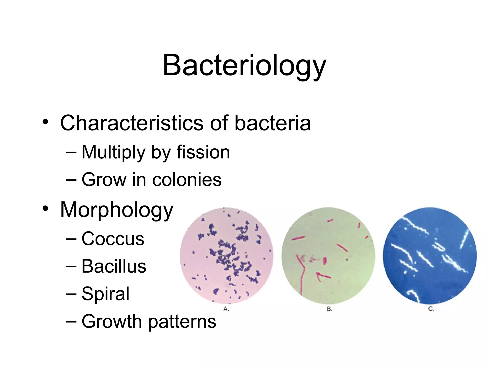 Bacteriology Characteristics of bacteria Multiply by fission Grow in colonies Morphology Coccus Bacillus Spiral Growth patterns 