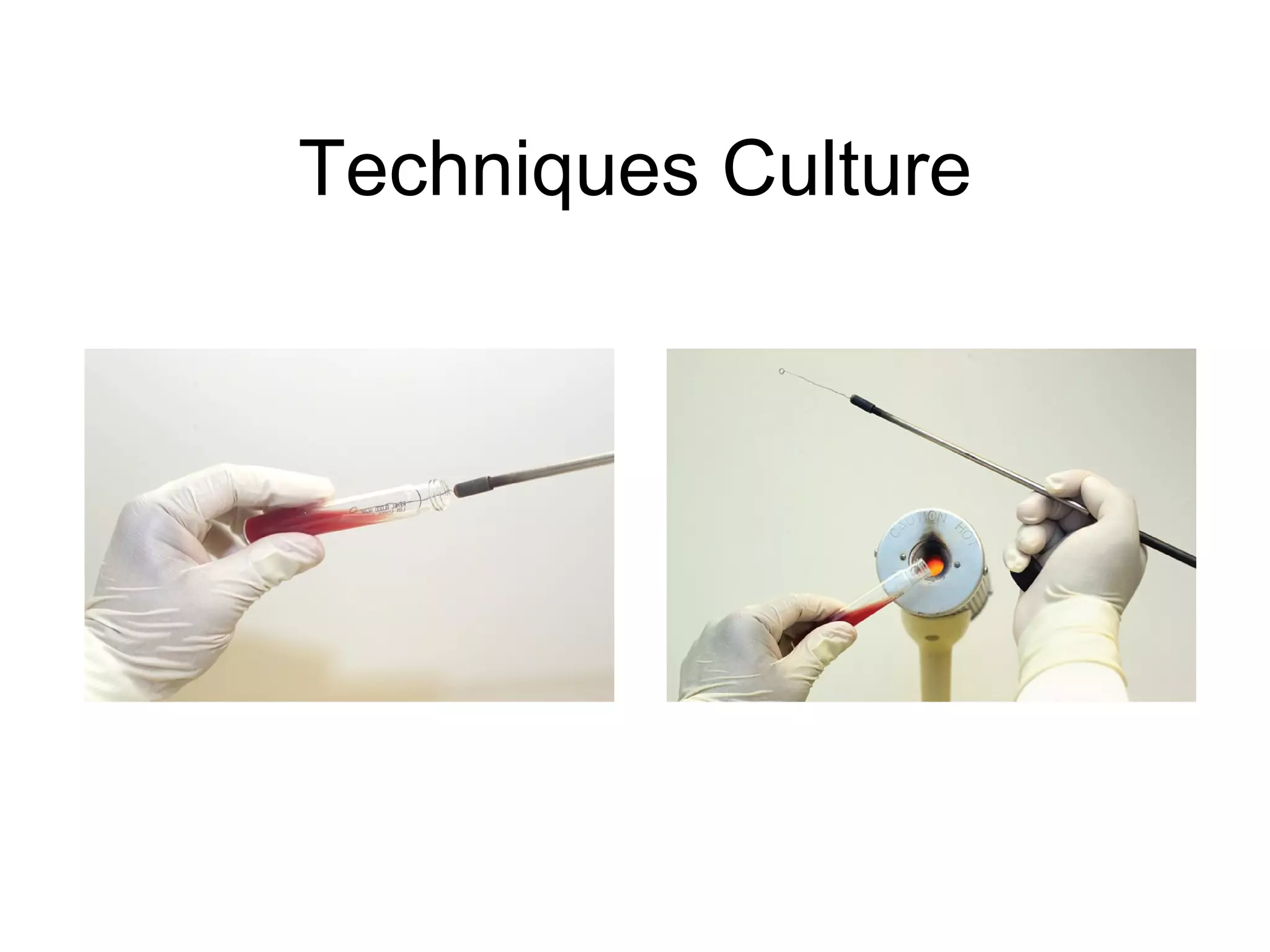 Techniques Culture 
