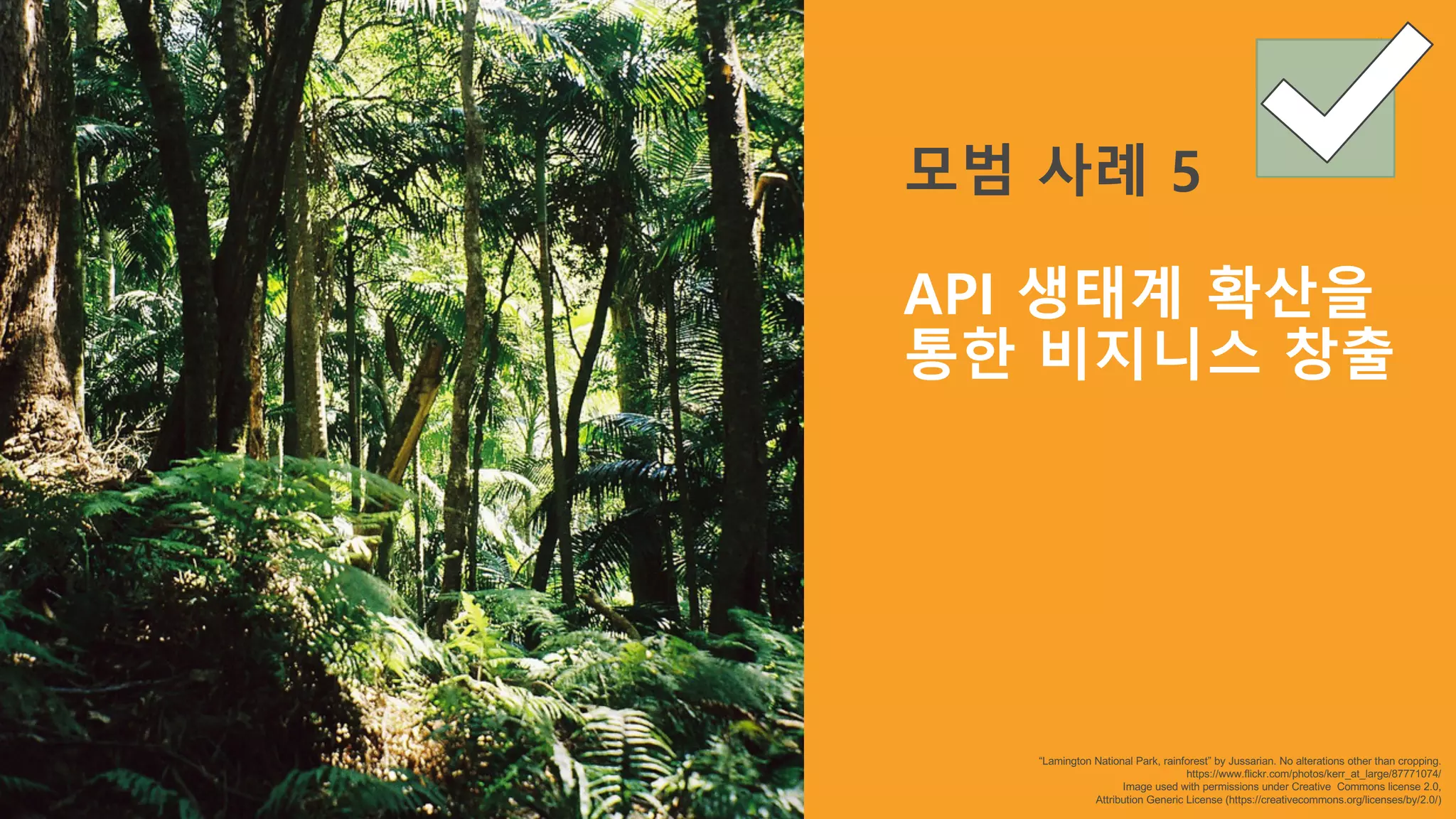“Lamington National Park, rainforest” by Jussarian. No alterations other than cropping.
https://www.flickr.com/photos/kerr_at_large/87771074/
Image used with permissions under Creative Commons license 2.0,
Attribution Generic License (https://creativecommons.org/licenses/by/2.0/)
모범 사례 5
API 생태계 확산을
통한 비지니스 창출
 