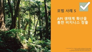“Lamington National Park, rainforest” by Jussarian. No alterations other than cropping.
https://www.flickr.com/photos/kerr_at_large/87771074/
Image used with permissions under Creative Commons license 2.0,
Attribution Generic License (https://creativecommons.org/licenses/by/2.0/)
모범 사례 5
API 생태계 확산을
통한 비지니스 창출
 