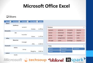 Microsoft Office Excel
Slicers
