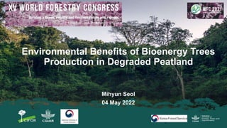 Environmental Benefits of Bioenergy Trees
Production in Degraded Peatland
Mihyun Seol
04 May 2022
1
 