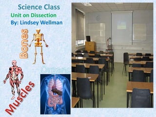 Science Class  Unit on Dissection By: Lindsey Wellman Bones Organs Muscles 