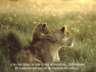 y no me dejes acusar a mis adversarios, tachándoles
   de traidores porque no comparten mi criterio.
 
