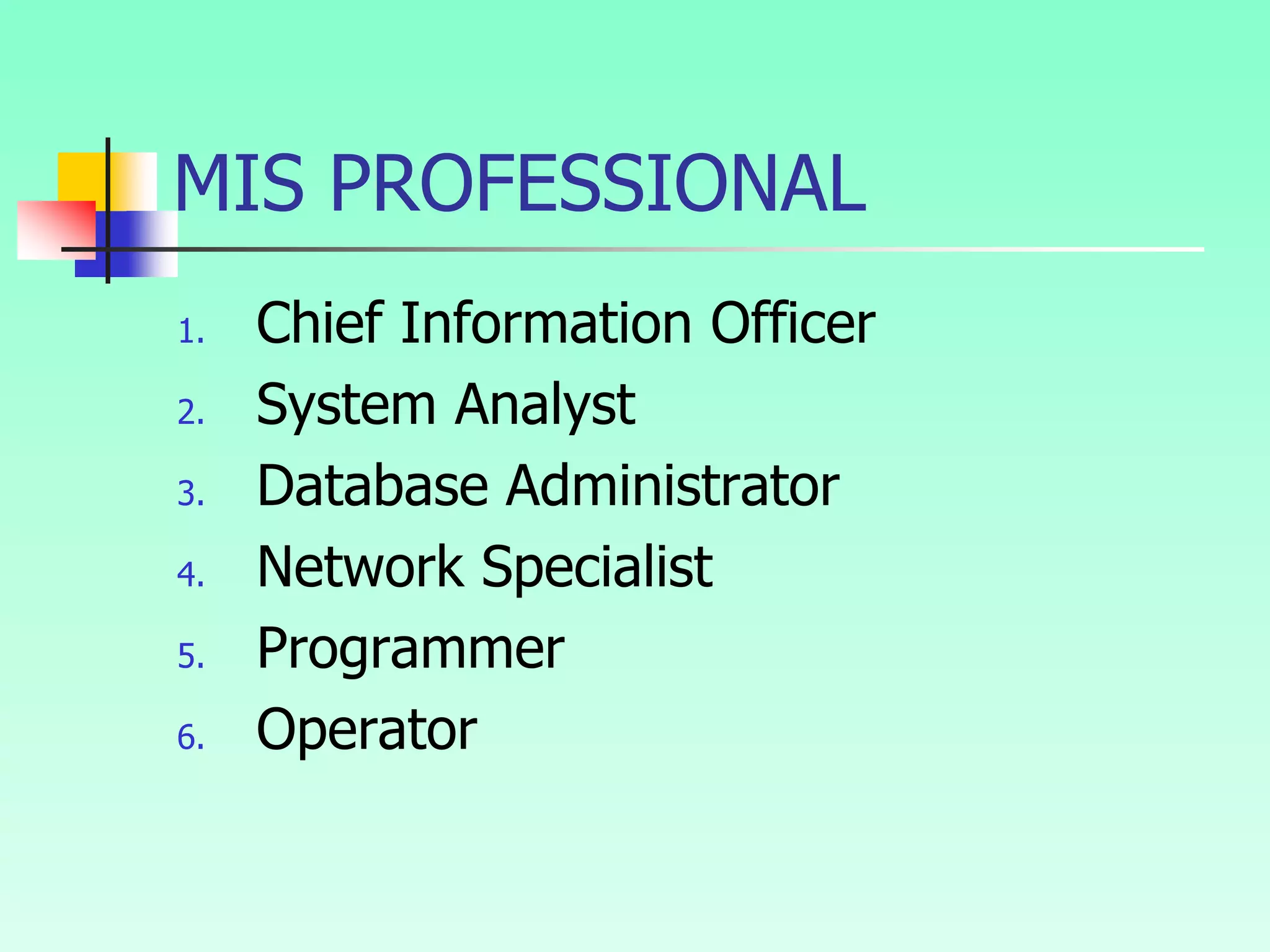 MIS PROFESSIONAL
1. Chief Information Officer
2. System Analyst
3. Database Administrator
4. Network Specialist
5. Programmer
6. Operator
 