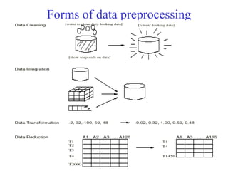 Forms of data preprocessing
 