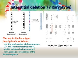 Comprehensive Overview of Chromosome Anomalies: Numerical and ...