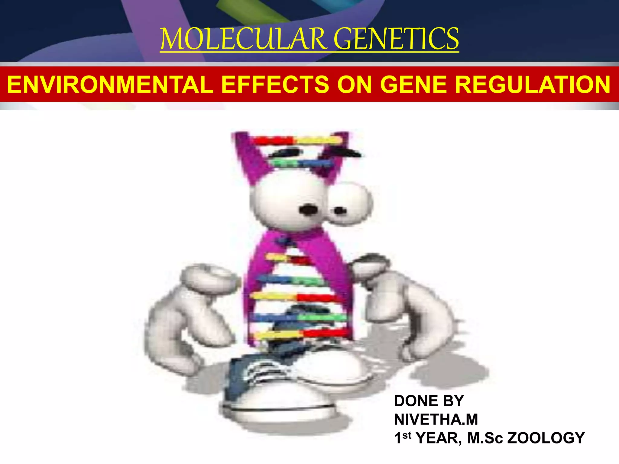 ENVIRONMENTAL EFFECTS ON GENE REGULATION PPT