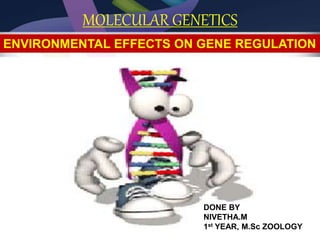 ENVIRONMENTAL EFFECTS ON GENE REGULATION | PPTX