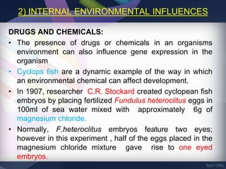 ENVIRONMENTAL EFFECTS ON GENE REGULATION | PPTX