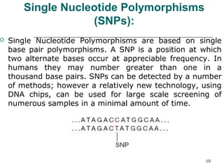 Single Nucleotide Polymorphisms
(SNPs):
 Single Nucleotide Polymorphisms are based on single
base pair polymorphisms. A SNP is a position at which
two alternate bases occur at appreciable frequency. In
humans they may number greater than one in a
thousand base pairs. SNPs can be detected by a number
of methods; however a relatively new technology, using
DNA chips, can be used for large scale screening of
numerous samples in a minimal amount of time.
10
 