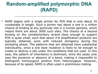 Random-amplified polymorphic DNA
(RAPD)
 RAPD begins with a single primer for PCR that is only about 10
nucleotides in length. Such a primer has about a one in a million
chance of binding at any particular site in a human genome, which
means there are about 3000 such sites. The chance of a second
binding on the complementary strand close enough to support
PCR is quite small, such that about 4-8 amplification products are
typically obtained, even with reduced stringency during the
annealing phase. The patterns that are obtained have substantial
individuality, since a one base mutation is likely to be enough to
create or destroy a site under the conditions that are used. In this
case, the pattern of inheritance is dominant, since the assay only
sees the presence or absence of a band, making it impossible to
distinguish homozygous positive from heterozygous. However,
because of its speed, RAPD is often used in preliminary testing
11
 