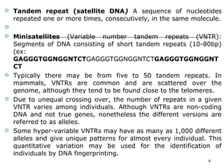  Tandem repeat (satellite DNA) A sequence of nucleotides
repeated one or more times, consecutively, in the same molecule.

 Minisatellites (Variable number tandem repeats (VNTR):
Segments of DNA consisting of short tandem repeats (10-80bp)
(ex:
GAGGGTGGNGGNTCTGAGGGTGGNGGNTCTGAGGGTGGNGGNT
CT
 Typically there may be from five to 50 tandem repeats. In
mammals, VNTRs are common and are scattered over the
genome, although they tend to be found close to the telomeres.
 Due to unequal crossing over, the number of repeats in a given
VNTR varies among individuals. Although VNTRs are non-coding
DNA and not true genes, nonetheless the different versions are
referred to as alleles.
 Some hyper-variable VNTRs may have as many as 1,000 different
alleles and give unique patterns for almost every individual. This
quantitative variation may be used for the identification of
individuals by DNA fingerprinting.
4
 