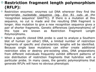  Restriction fragment length polymorphism
(RFLP):
 Restriction enzymes: enzymes cut DNA wherever they find the
appropriate nucleotide sequence (eg. Eco R1 cuts at the
'recognition sequence' GAATTC). If there is a mutation at this
sequence, no cut is made and the resulting DNA fragment is
longer. Also mutation to give a new recognition sequence gives a
pair of shorter fragments. Genetic differences (polymorphisms) of
this type are known as Restriction Fragment Length
Polymorphisms.
 When a specific cloned DNA probe is used to analyze a Southern
blot of human (or other) DNA, a limited number of restriction
fragments of specific and characteristic lengths will be identified.
Because single base mutations can either create additional
restriction sites or destroy pre-existing sites, DNA preparations
from different individuals frequently exhibit different patterns of
size distribution of restriction fragments that hybridize with a
particular probe. In many cases, the genetic polymorphisms that
generate RFLPs will have no obvious phenotypic
7
 