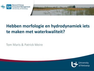 Hebben morfologie en hydrodynamiek iets
te maken met waterkwaliteit?
Tom Maris & Patrick Meire
 