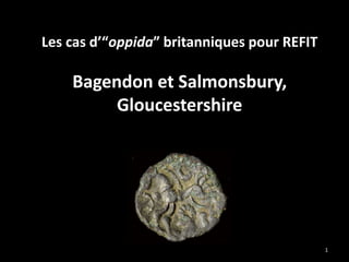 Les cas d’“oppida” britanniques pour REFIT
Bagendon et Salmonsbury,
Gloucestershire
1
 