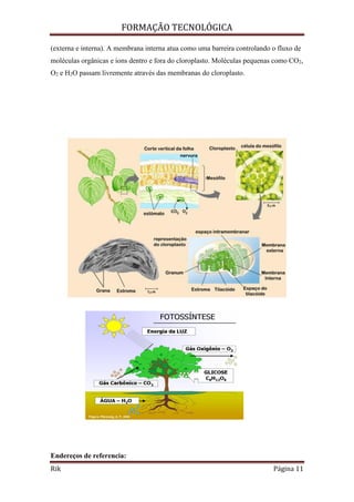 FORMAÇÃO TECNOLÓGICA
Rik Página 11
(externa e interna). A membrana interna atua como uma barreira controlando o fluxo de
moléculas orgânicas e íons dentro e fora do cloroplasto. Moléculas pequenas como CO2,
O2 e H2O passam livremente através das membranas do cloroplasto.
Endereços de referencia:
 