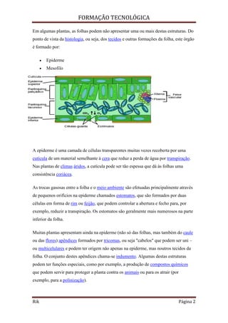 FORMAÇÃO TECNOLÓGICA
Rik Página 2
Em algumas plantas, as folhas podem não apresentar uma ou mais destas estruturas. Do
ponto de vista da histologia, ou seja, dos tecidos e outras formações da folha, este órgão
é formado por:
 Epiderme
 Mesofilo
A epiderme é uma camada de células transparentes muitas vezes recoberta por uma
cutícula de um material semelhante à cera que reduz a perda de água por transpiração.
Nas plantas de climas áridos, a cutícula pode ser tão espessa que dá às folhas uma
consistência coriácea.
As trocas gasosas entre a folha e o meio ambiente são efetuadas principalmente através
de pequenos orifícios na epiderme chamados estomatos, que são formados por duas
células em forma de rim ou feijão, que podem controlar a abertura e fecho para, por
exemplo, reduzir a transpiração. Os estomatos são geralmente mais numerosos na parte
inferior da folha.
Muitas plantas apresentam ainda na epiderme (não só das folhas, mas também do caule
ou das flores) apêndices formados por tricomas, ou seja "cabelos" que podem ser uni –
ou multicelulares e podem ter origem não apenas na epiderme, mas noutros tecidos da
folha. O conjunto destes apêndices chama-se indumento. Algumas destas estruturas
podem ter funções especiais, como por exemplo, a produção de compostos químicos
que podem servir para proteger a planta contra os animais ou para os atrair (por
exemplo, para a polinização).
 