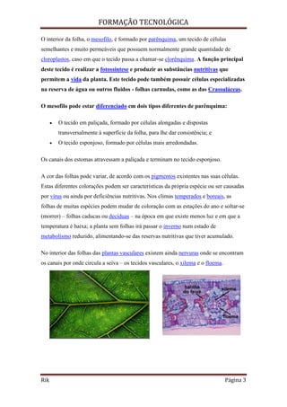 FORMAÇÃO TECNOLÓGICA
Rik Página 3
O interior da folha, o mesofilo, é formado por parênquima, um tecido de células
semelhantes e muito permeáveis que possuem normalmente grande quantidade de
cloroplastos, caso em que o tecido passa a chamar-se clorênquima. A função principal
deste tecido é realizar a fotossíntese e produzir as substâncias nutritivas que
permitem a vida da planta. Este tecido pode também possuir células especializadas
na reserva de água ou outros fluidos - folhas carnudas, como as das Crassuláceas.
O mesofilo pode estar diferenciado em dois tipos diferentes de parênquima:
 O tecido em paliçada, formado por células alongadas e dispostas
transversalmente à superfície da folha, para lhe dar consistência; e
 O tecido esponjoso, formado por células mais arredondadas.
Os canais dos estomas atravessam a paliçada e terminam no tecido esponjoso.
A cor das folhas pode variar, de acordo com os pigmentos existentes nas suas células.
Estas diferentes colorações podem ser características da própria espécie ou ser causadas
por vírus ou ainda por deficiências nutritivas. Nos climas temperados e boreais, as
folhas de muitas espécies podem mudar de coloração com as estações do ano e soltar-se
(morrer) – folhas caducas ou decíduas – na época em que existe menos luz e em que a
temperatura é baixa; a planta sem folhas irá passar o inverno num estado de
metabolismo reduzido, alimentando-se das reservas nutritivas que tiver acumulado.
No interior das folhas das plantas vasculares existem ainda nervuras onde se encontram
os canais por onde circula a seiva – os tecidos vasculares, o xilema e o floema.
 