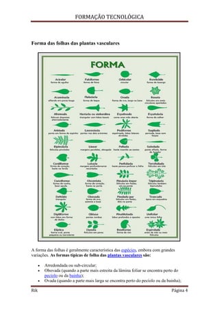 FORMAÇÃO TECNOLÓGICA
Rik Página 4
Forma das folhas das plantas vasculares
A forma das folhas é geralmente característica das espécies, embora com grandes
variações. As formas típicas de folha das plantas vasculares são:
 Arredondada ou sub-circular;
 Obovada (quando a parte mais estreita da lâmina foliar se encontra perto do
pecíolo ou da bainha);
 Ovada (quando a parte mais larga se encontra perto do pecíolo ou da bainha);
 